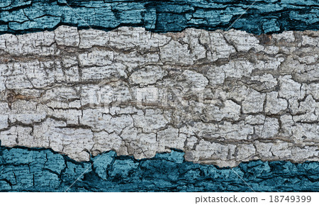 Patterned of grunge tree peel,wood texture, nature 18749399