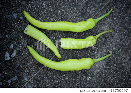 Green chili 18750997