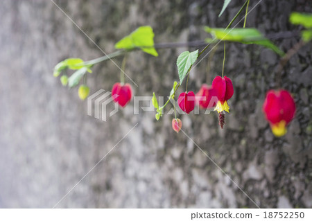 Tyrolean lamp 18752250