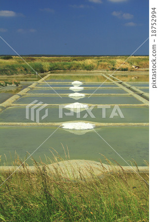 Sea salt production in France 18752994