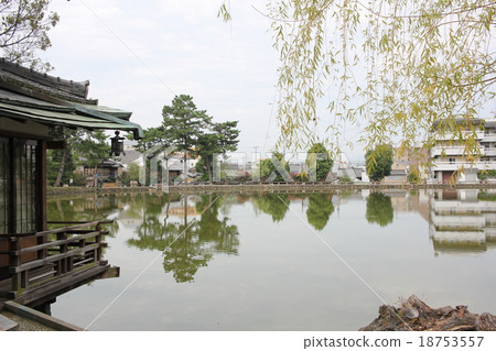 Sarusawa pond 18753557