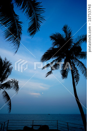 silhouette of coconut tree with sea and moon 18753748