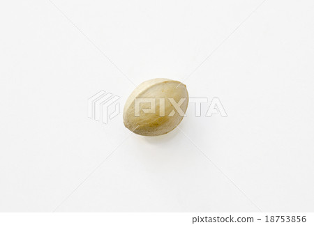 Ginkgo (with shell) _ 01 18753856