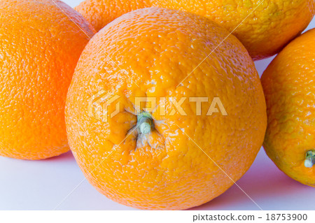 Oranges Oranges 18753900