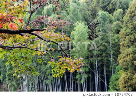 它低聲說道 它低聲說道 18754702
