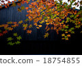 Black building and autumn leaves 18754855