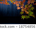 Black building and autumn leaves 18754856