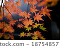 Black plate wall and autumn leaves 18754857