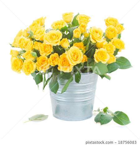 bouquet of fresh roses bouquet of fresh roses 18756083