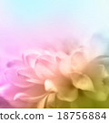 Soft focus flower background with copy space. 18756884