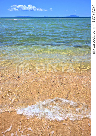 paradise beach seaweed  indian ocean  18757254