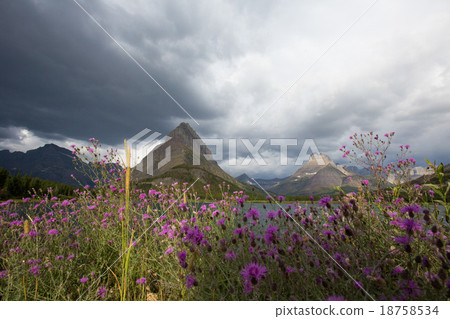 Glacier National Park. Glacier National Park. 18758534