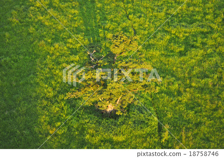 Aerial View of Brandenburg, Germany 18758746