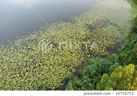 Aerial View of Brandenburg, Germany 18758753