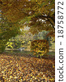 Autumn leaves along the river 18758772