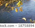 The autumn leaves and the river 18758894