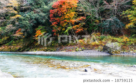 Autumn leaves of Okutama 18759115