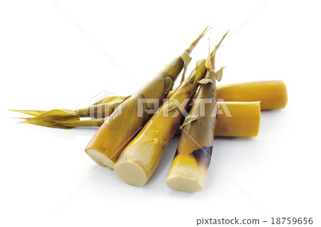 Bamboo shoot on white background 18759656