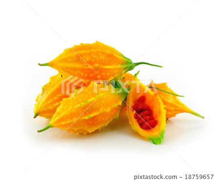 Momordica or karela  18759657
