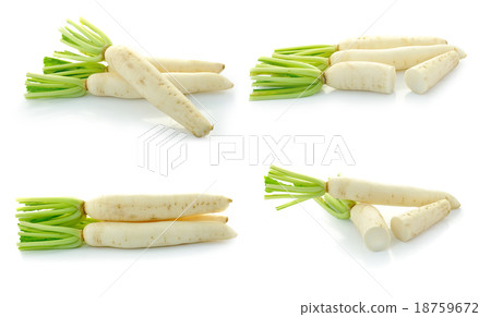 Daikon radishes isolated on white background Daikon radishes isolated on white background 18759672