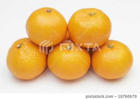橘子 18760679
