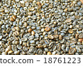 Raw unroasted bali coffee beans background 18761223