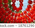 Chinese lanterns hanging in the garden 18761290