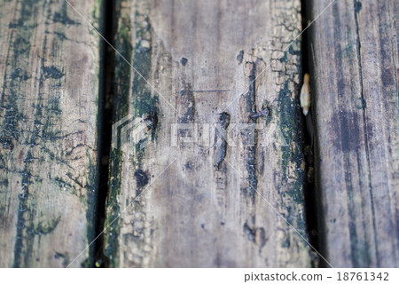 Rotten wood Rotten wood 18761342