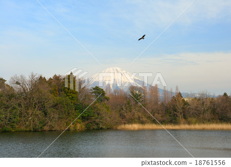 Oyama Oyama 18761556