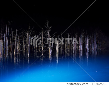 美瑛的藍塘 18762539