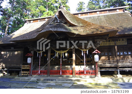 Kumano Shrine Kumano Shrine 18763199