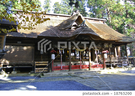 Kumano Shrine Kumano Shrine 18763200
