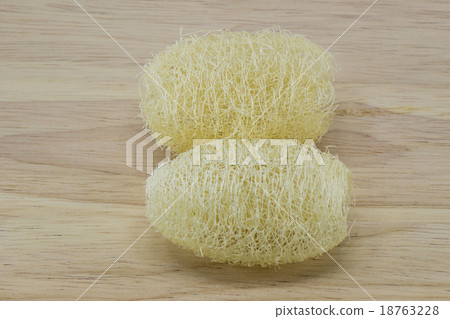 luffa luffa 18763228