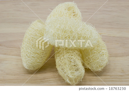 luffa 18763230