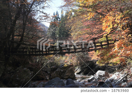 Tokushima prefecture Miyoshi-shi Oku Iya district (former Toonaniyama village) "Oku Iya double quiz Bridge" woman bridge and male bridge 18763980