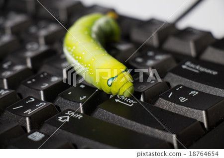 Malicious computer worm on your computer. Malicious computer worm on your computer. 18764654
