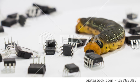 Malicious computer worm. Malicious computer worm. 18765385
