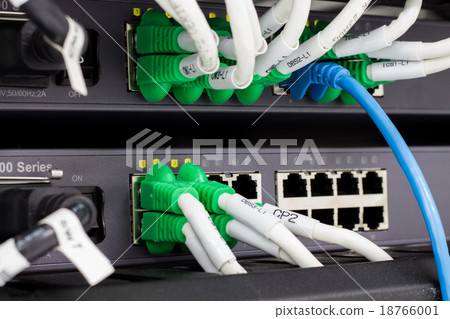 Local area network switch (LAN) ethernet cable. 18766001