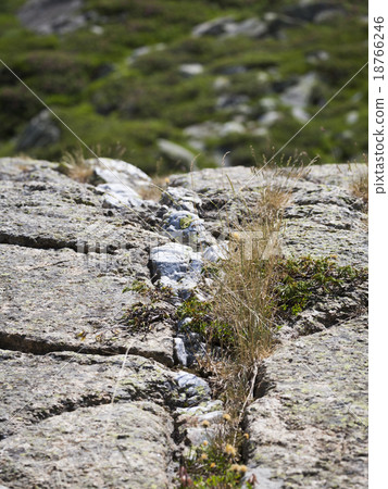 Mountain Geology 18766246