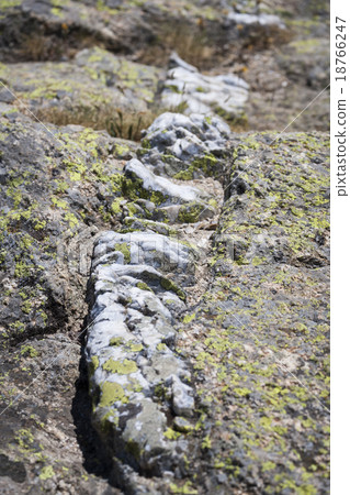 Mountain Geology 18766247