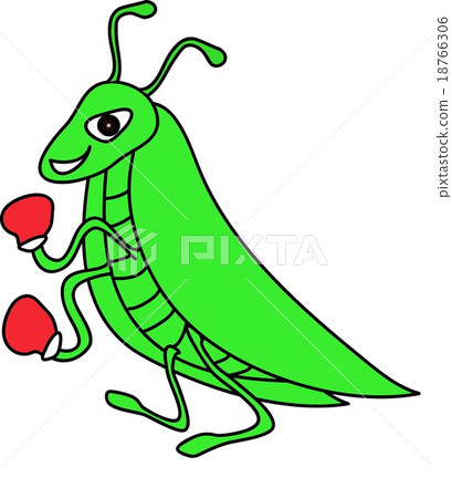 Green grasshopper on a white background 18766306