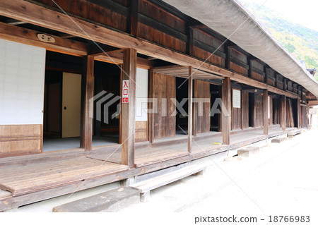 Tsuru Mitsuki Shiba Village 18766983