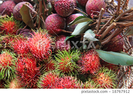 Rambutan and lichee Rambutan and lichee 18767912