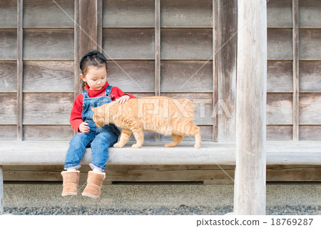 Cats and girls Cats and girls 18769287