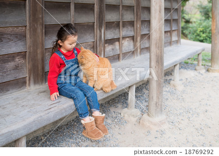 貓和女孩 18769292