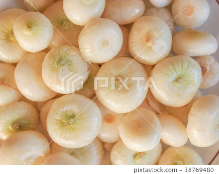 Onions Onions 18769480