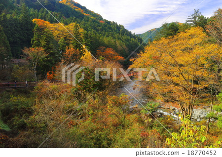 秋川谷秋葉 18770452