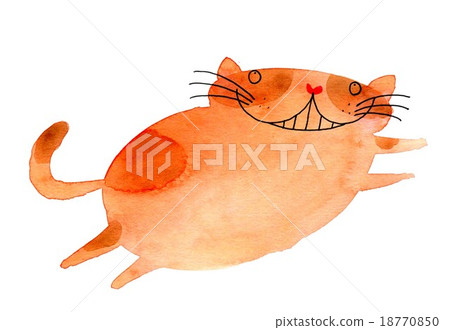 Nibu貓 Nibu貓 18770850