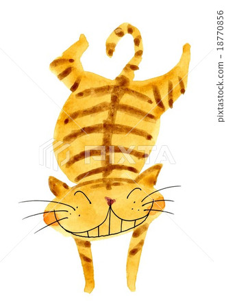 手倒立的貓 18770856