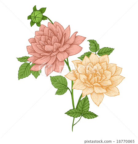 Nice vector flowers 18770865